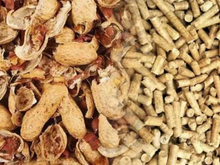 Peanut Shell Pellet Machine: Efficient Solution for Biomass Husk Pellet Production