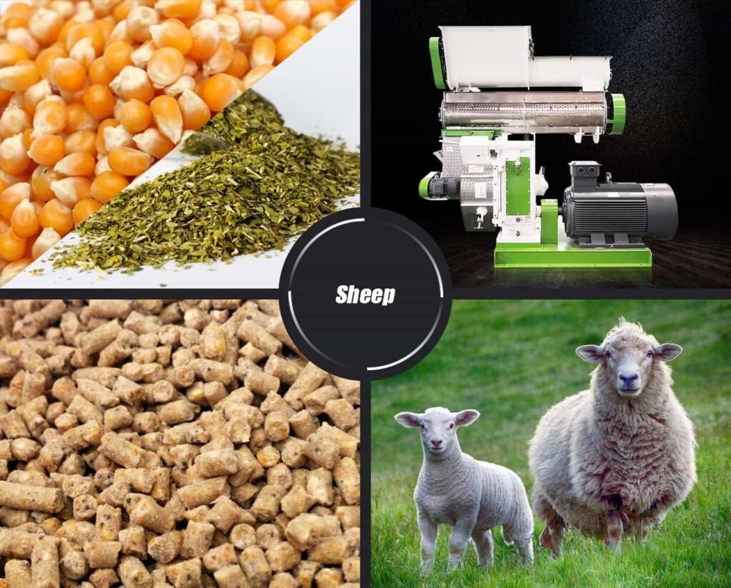 Sheep Feed Pellet Machine