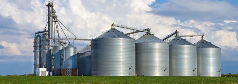 Ethiopia Livestock Farming Growth and Why Local Feed Production Is Becoming More Important